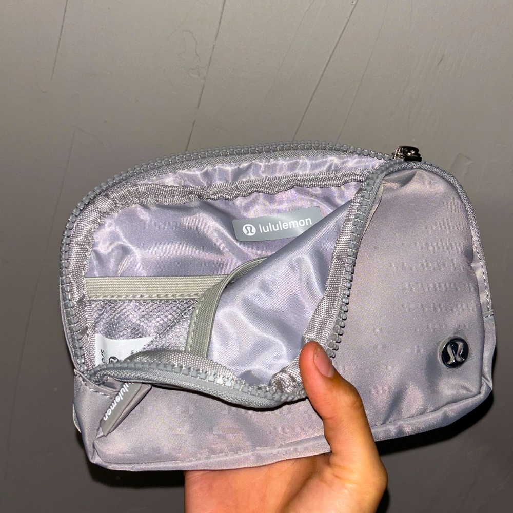 Everywhere belt bag